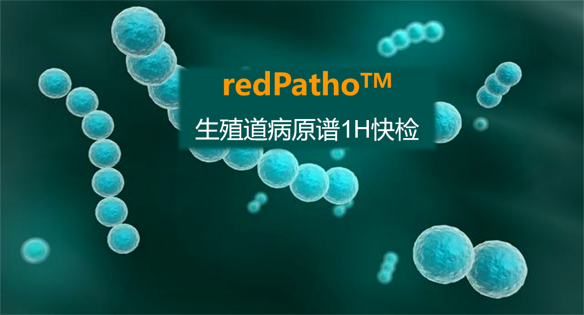 redPatho，生殖道感染病原谱