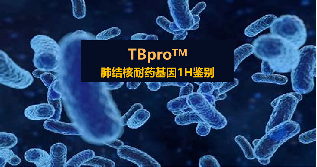 TBpro，结核菌耐药谱